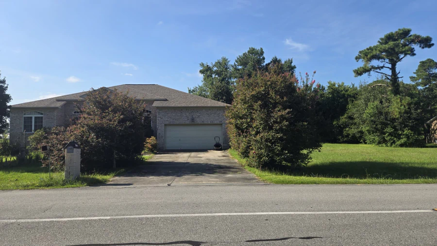 Tree Trimming & Pruning